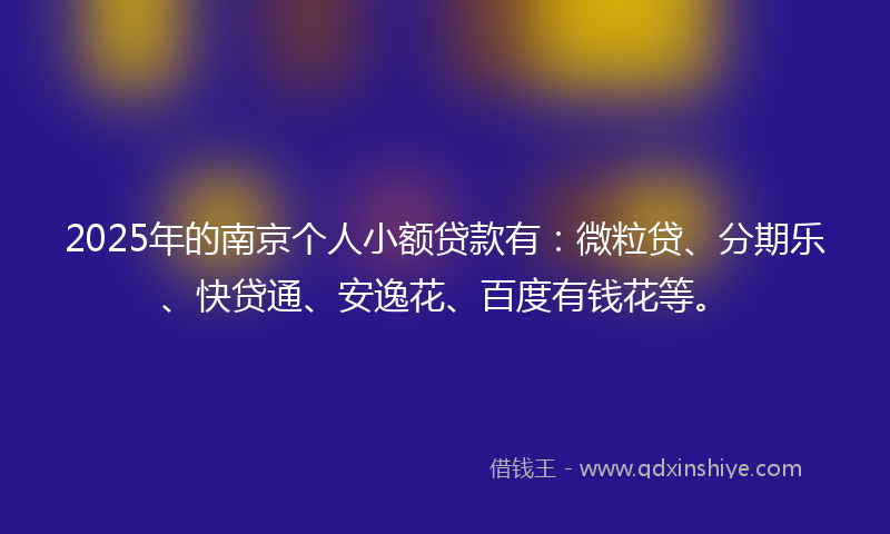 2025年的南京个人小额贷款有：微粒贷、分期乐、快贷通、安逸花、百度有钱花等。