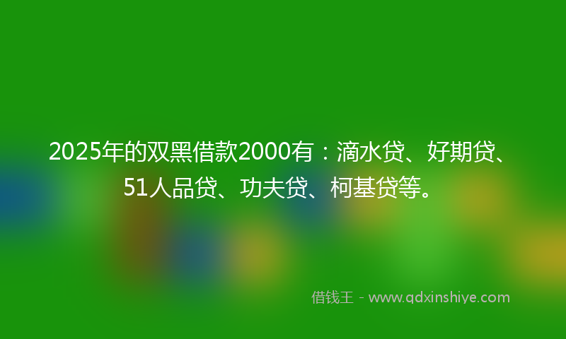 2025年的双黑借款2000有：滴水贷、好期贷、51人品贷、功夫贷、柯基贷等。