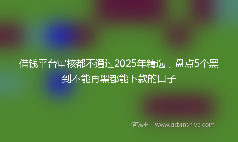 借钱平台审核都不通过2025年精选，盘点5个黑到不能再黑都能下款的口子