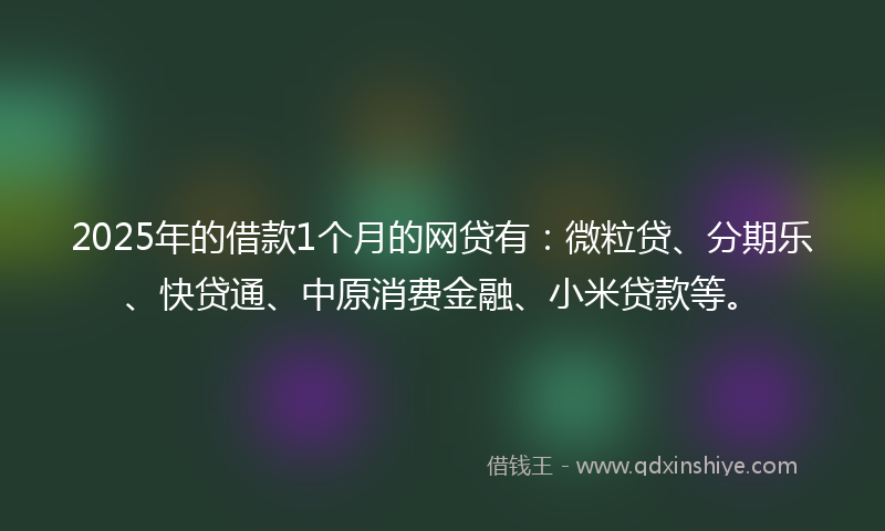 2025年的借款1个月的网贷有：微粒贷、分期乐、快贷通、中原消费金融、小米贷款等。