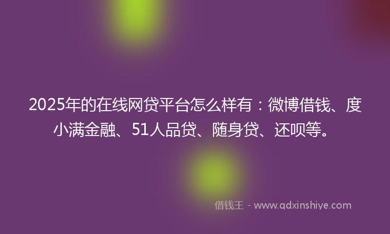 2025年的在线网贷平台怎么样有：微博借钱、度小满金融、51人品贷、随身贷、还呗等。