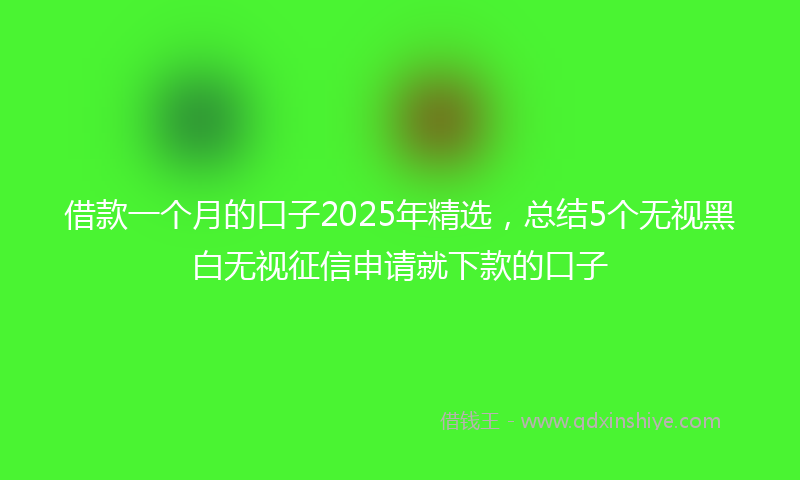 借款一个月的口子2025年精选，总结5个无视黑白无视征信申请就下款的口子