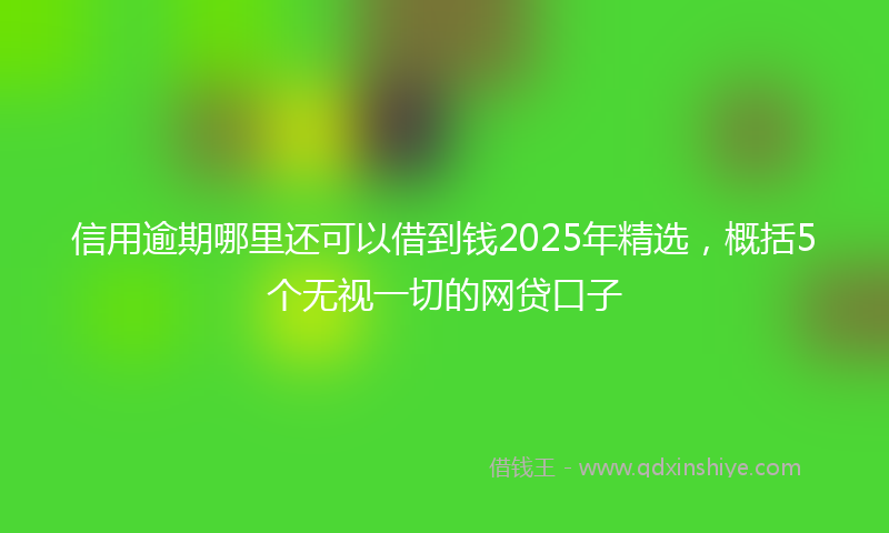 信用逾期哪里还可以借到钱2025年精选，概括5个无视一切的网贷口子