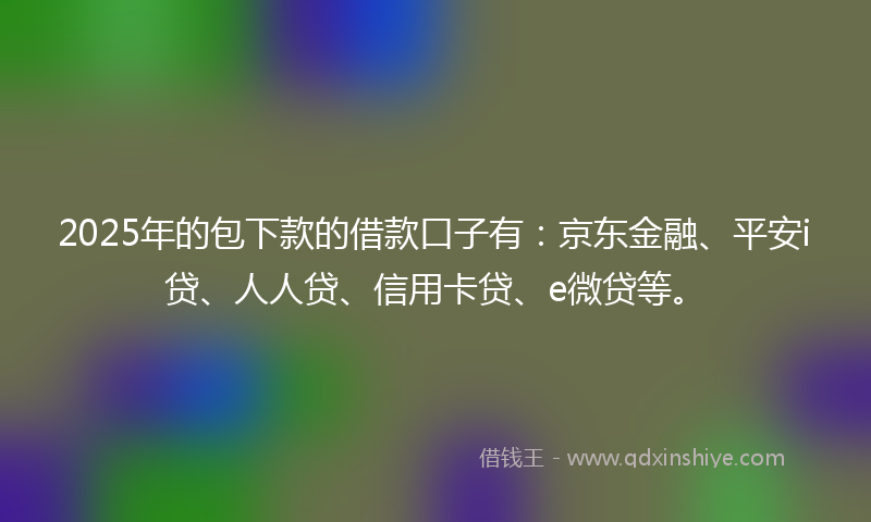 2025年的包下款的借款口子有：京东金融、平安i贷、人人贷、信用卡贷、e微贷等。
