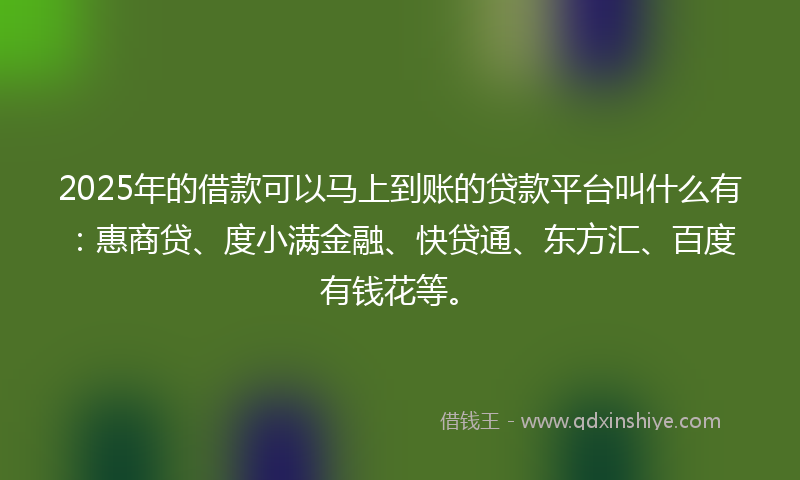 2025年的借款可以马上到账的贷款平台叫什么有：惠商贷、度小满金融、快贷通、东方汇、百度有钱花等。