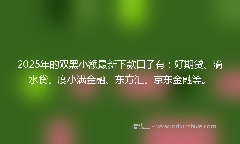 2025年的双黑小额最新下款口子有：好期贷、滴水贷、度小满金融、东方汇、京东金融等。