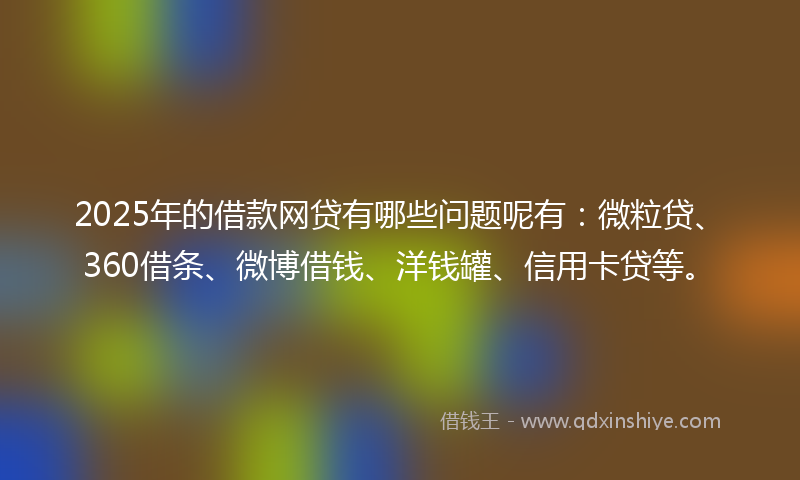 2025年的借款网贷有哪些问题呢有：微粒贷、360借条、微博借钱、洋钱罐、信用卡贷等。