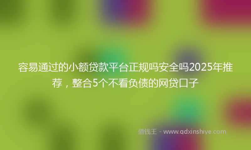 容易通过的小额贷款平台正规吗安全吗2025年推荐，整合5个不看负债的网贷口子