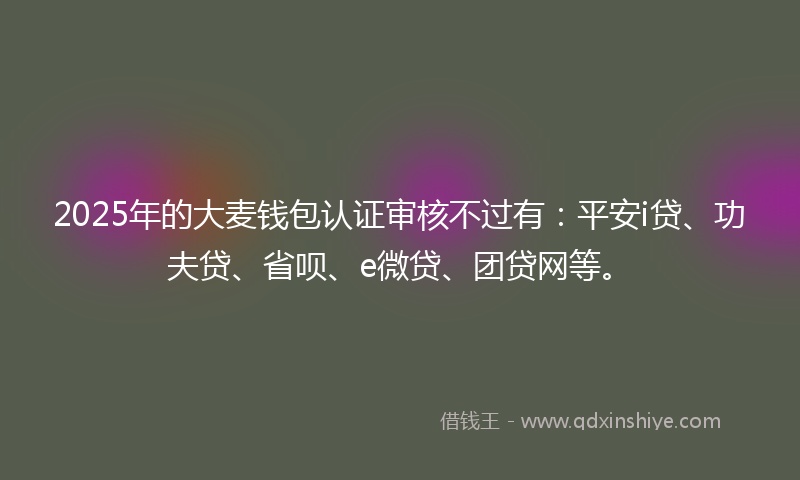 2025年的大麦钱包认证审核不过有：平安i贷、功夫贷、省呗、e微贷、团贷网等。