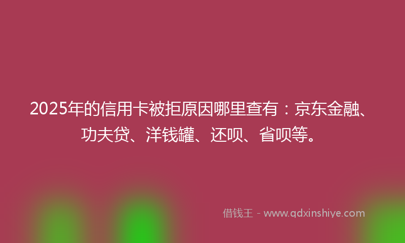 2025年的信用卡被拒原因哪里查有：京东金融、功夫贷、洋钱罐、还呗、省呗等。