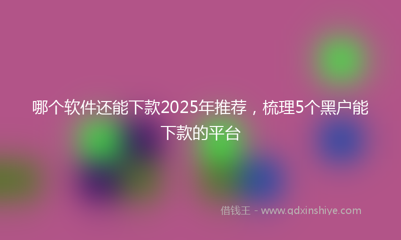 哪个软件还能下款2025年推荐，梳理5个黑户能下款的平台