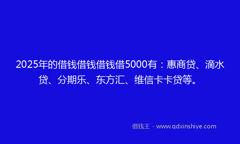2025年的借钱借钱借钱借5000有：惠商贷、滴水贷、分期乐、东方汇、维信卡卡贷等。