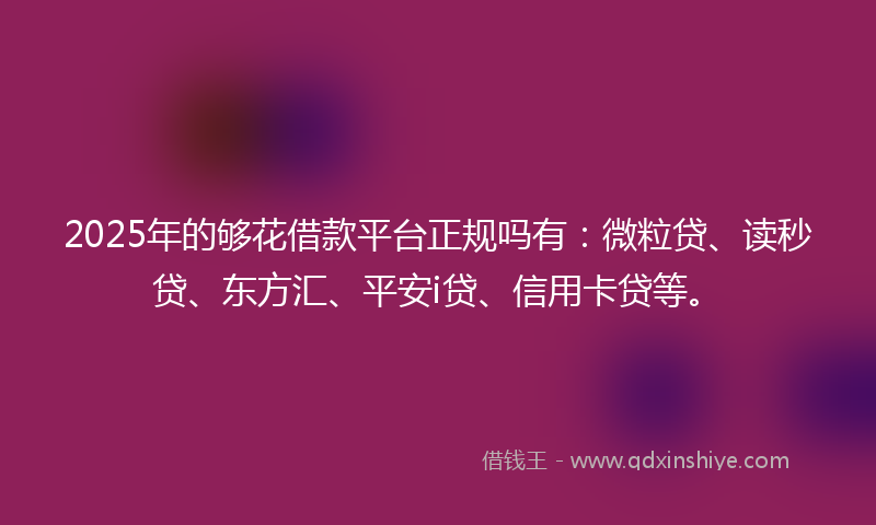 2025年的够花借款平台正规吗有：微粒贷、读秒贷、东方汇、平安i贷、信用卡贷等。