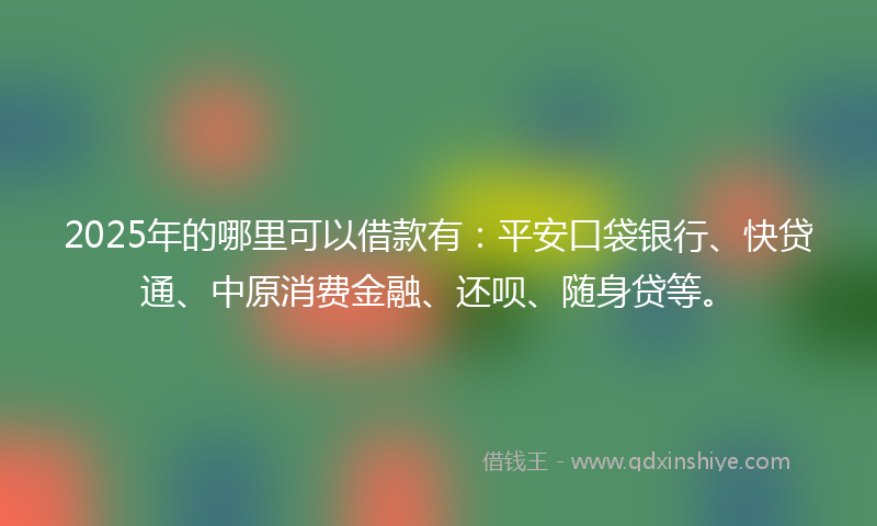 2025年的哪里可以借款有：平安口袋银行、快贷通、中原消费金融、还呗、随身贷等。