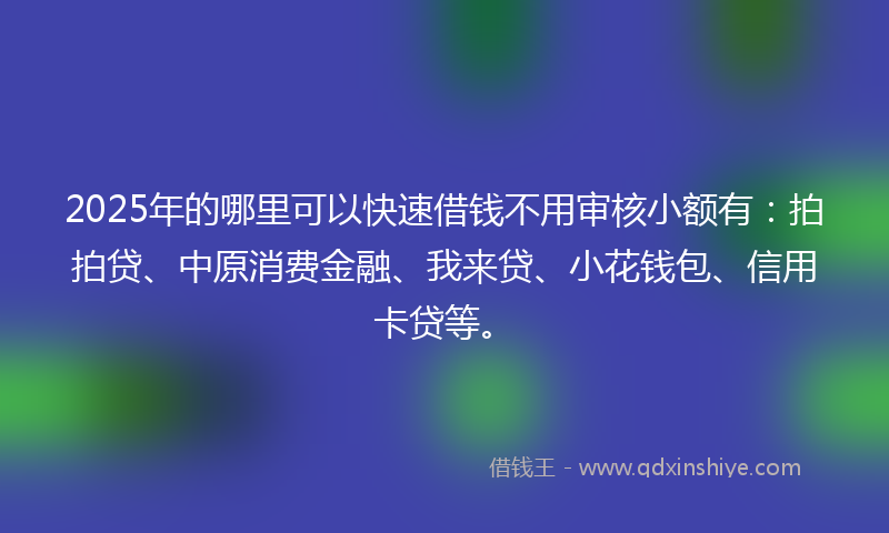 2025年的哪里可以快速借钱不用审核小额有：拍拍贷、中原消费金融、我来贷、小花钱包、信用卡贷等。