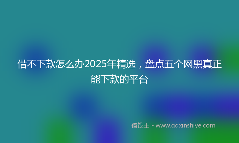 借不下款怎么办2025年精选，盘点五个网黑真正能下款的平台