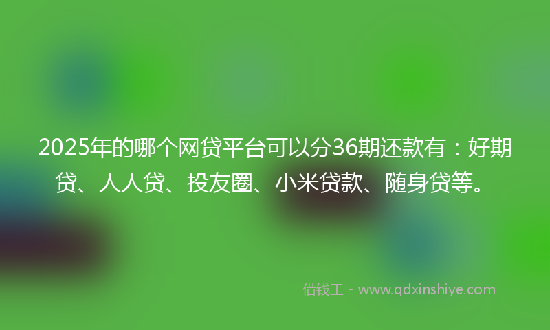 2025年的哪个网贷平台可以分36期还款有：好期贷、人人贷、投友圈、小米贷款、随身贷等。