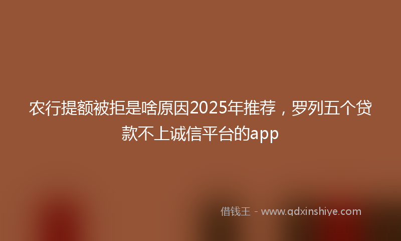 农行提额被拒是啥原因2025年推荐，罗列五个贷款不上诚信平台的app