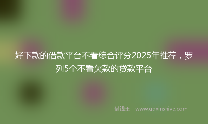 好下款的借款平台不看综合评分2025年推荐，罗列5个不看欠款的贷款平台