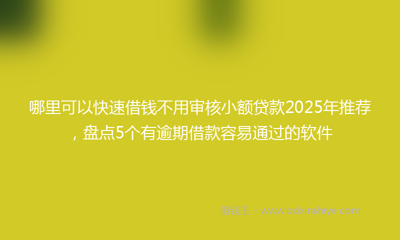 哪里可以快速借钱不用审核小额贷款2025年推荐，盘点5个有逾期借款容易通过的软件