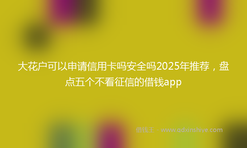 大花户可以申请信用卡吗安全吗2025年推荐，盘点五个不看征信的借钱app