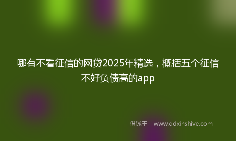 哪有不看征信的网贷2025年精选，概括五个征信不好负债高的app