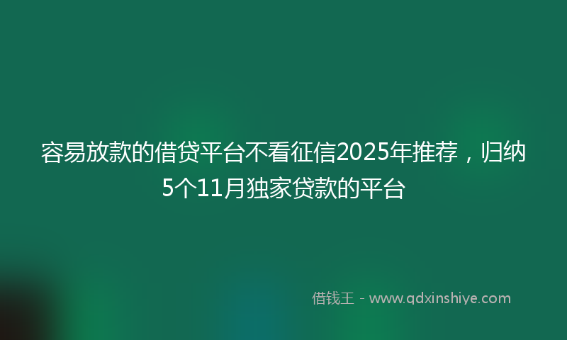 容易放款的借贷平台不看征信2025年推荐，归纳5个11月独家贷款的平台