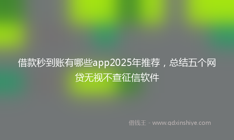 借款秒到账有哪些app2025年推荐，总结五个网贷无视不查征信软件