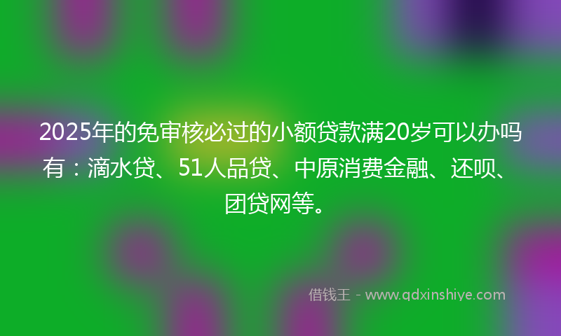 2025年的免审核必过的小额贷款满20岁可以办吗有：滴水贷、51人品贷、中原消费金融、还呗、团贷网等。