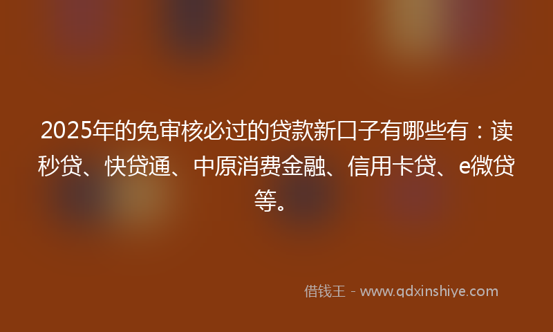 2025年的免审核必过的贷款新口子有哪些有：读秒贷、快贷通、中原消费金融、信用卡贷、e微贷等。