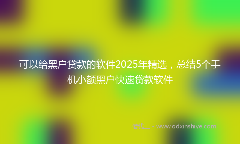 可以给黑户贷款的软件2025年精选，总结5个手机小额黑户快速贷款软件