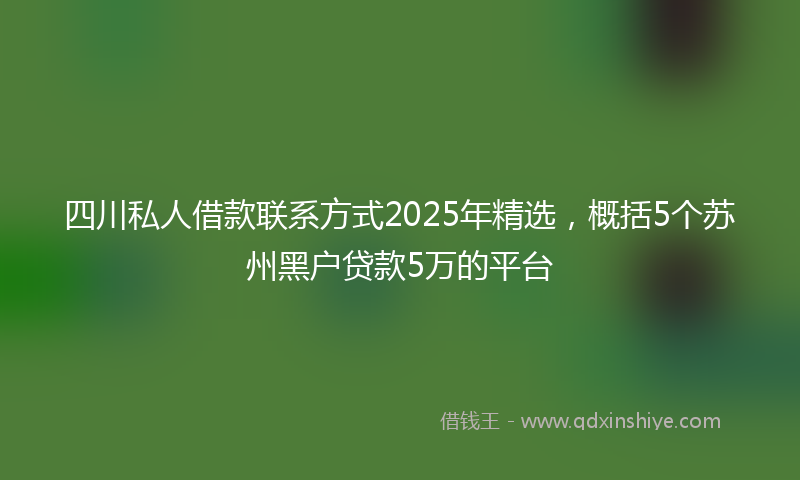 四川私人借款联系方式2025年精选，概括5个苏州黑户贷款5万的平台