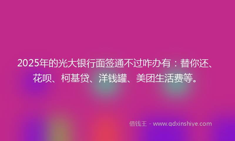 2025年的光大银行面签通不过咋办有：替你还、花呗、柯基贷、洋钱罐、美团生活费等。