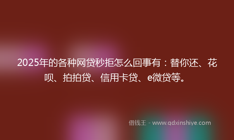 2025年的各种网贷秒拒怎么回事有：替你还、花呗、拍拍贷、信用卡贷、e微贷等。