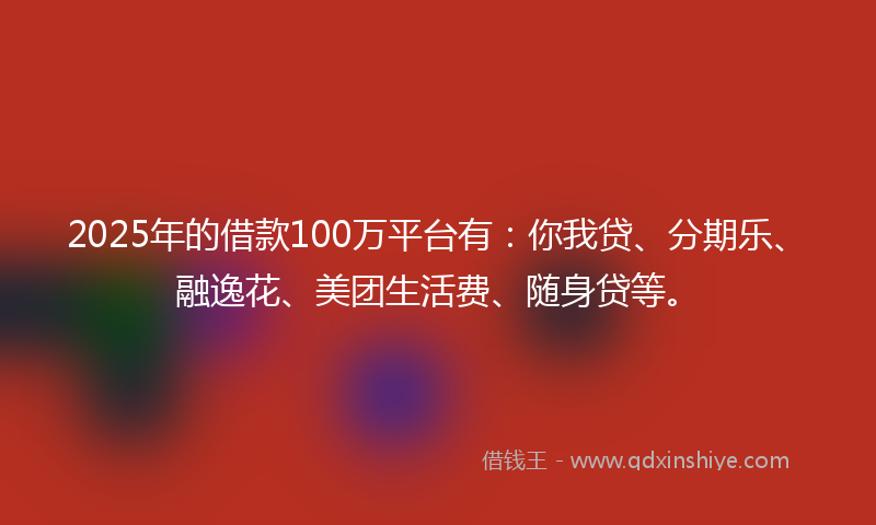 2025年的借款100万平台有：你我贷、分期乐、融逸花、美团生活费、随身贷等。