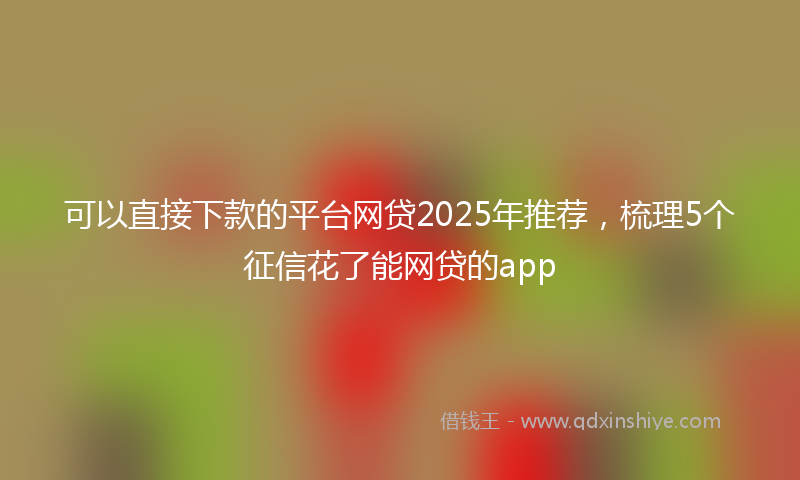 可以直接下款的平台网贷2025年推荐，梳理5个征信花了能网贷的app