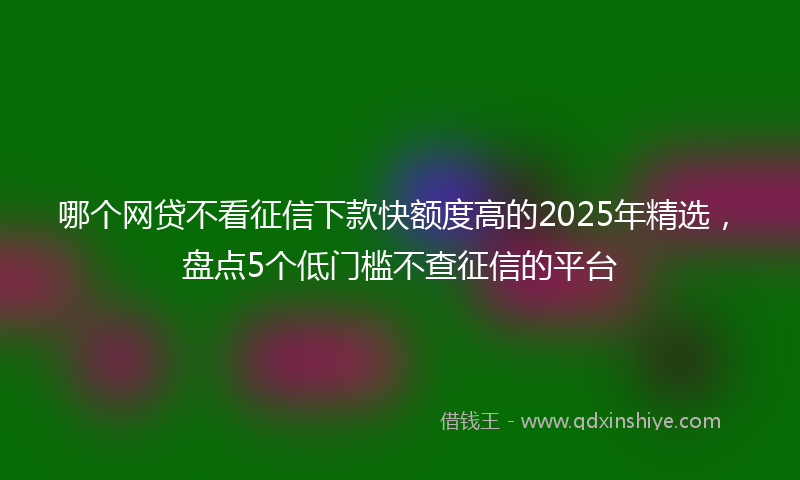 哪个网贷不看征信下款快额度高的2025年精选，盘点5个低门槛不查征信的平台