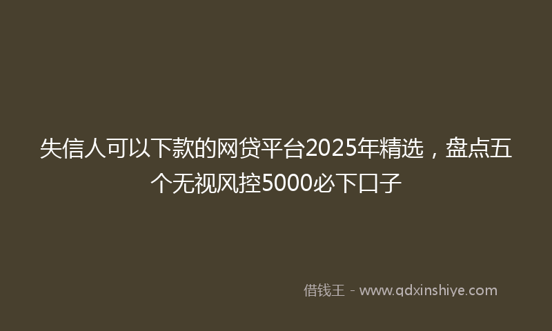 失信人可以下款的网贷平台2025年精选，盘点五个无视风控5000必下口子