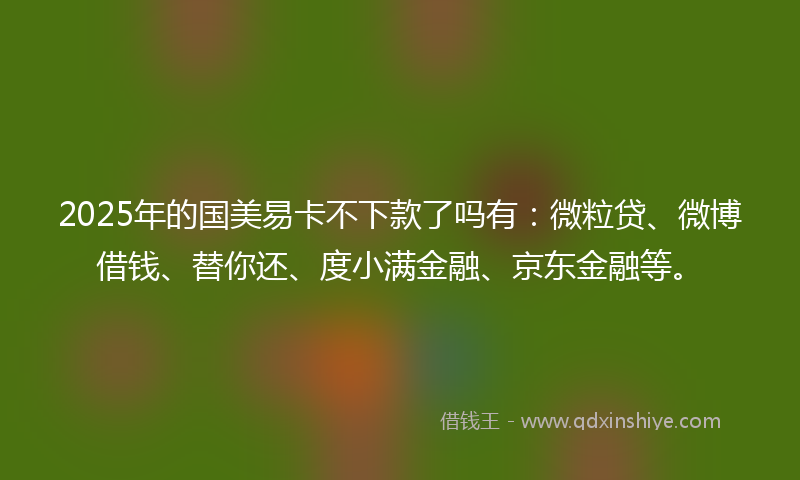 2025年的国美易卡不下款了吗有：微粒贷、微博借钱、替你还、度小满金融、京东金融等。