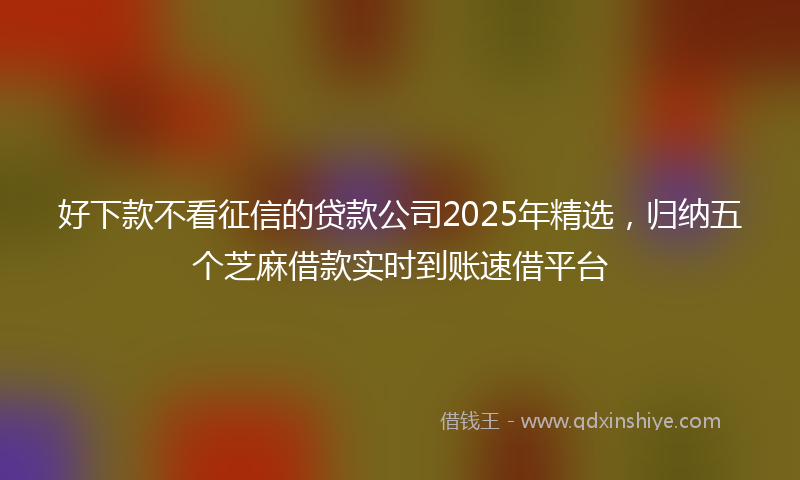 好下款不看征信的贷款公司2025年精选，归纳五个芝麻借款实时到账速借平台