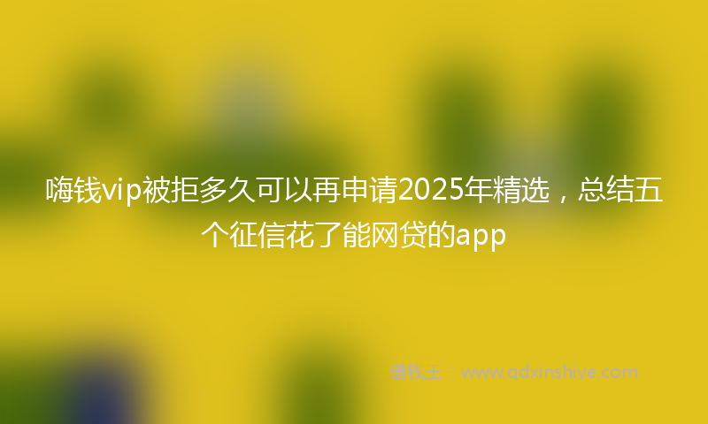 嗨钱vip被拒多久可以再申请2025年精选，总结五个征信花了能网贷的app