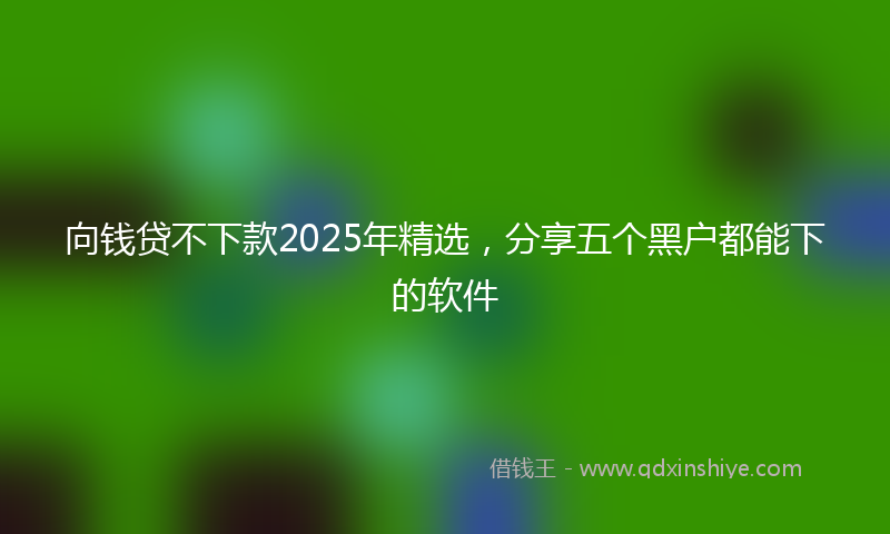 向钱贷不下款2025年精选，分享五个黑户都能下的软件