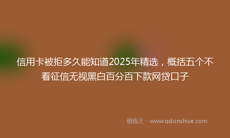 信用卡被拒多久能知道2025年精选，概括五个不看征信无视黑白百分百下款网贷口子