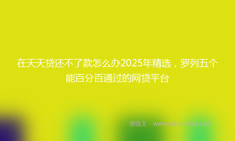 在天天贷还不了款怎么办2025年精选，罗列五个能百分百通过的网贷平台