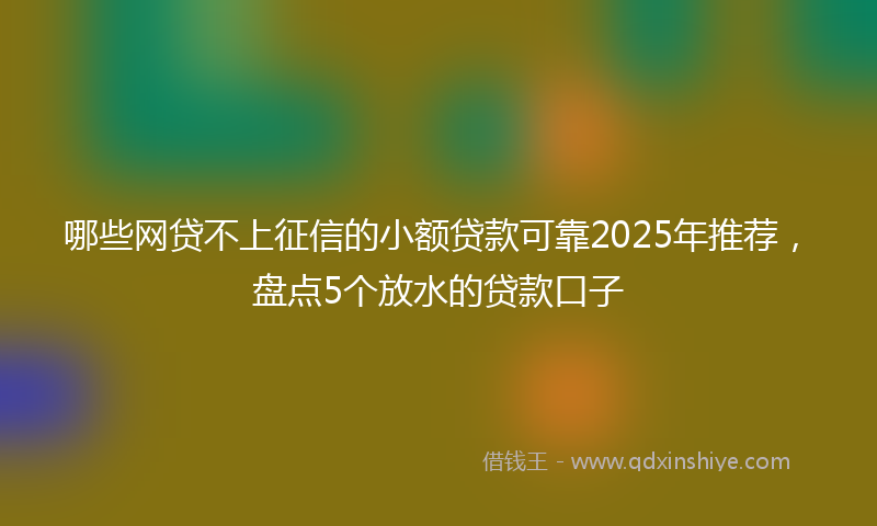 哪些网贷不上征信的小额贷款可靠2025年推荐，盘点5个放水的贷款口子