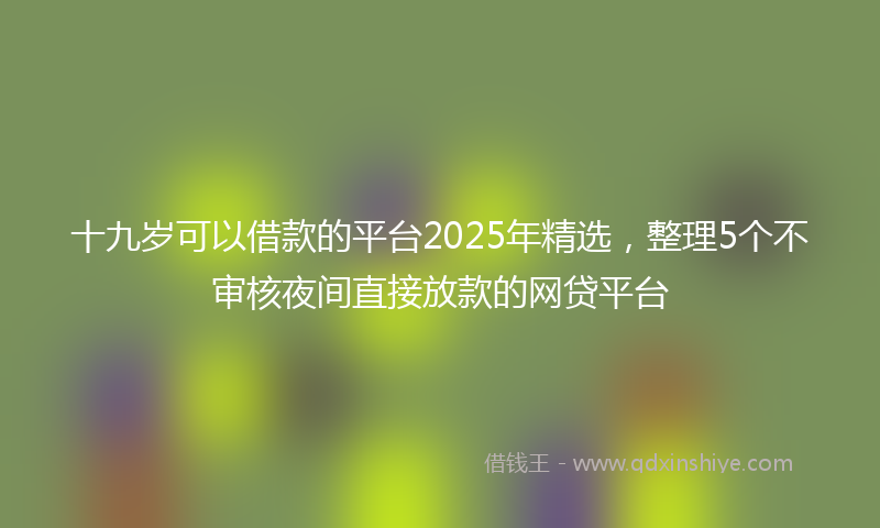 十九岁可以借款的平台2025年精选，整理5个不审核夜间直接放款的网贷平台