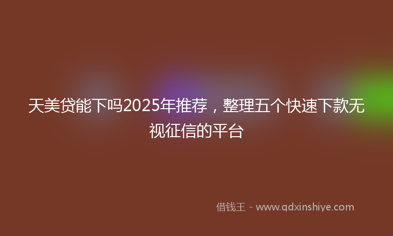 天美贷能下吗2025年推荐，整理五个快速下款无视征信的平台