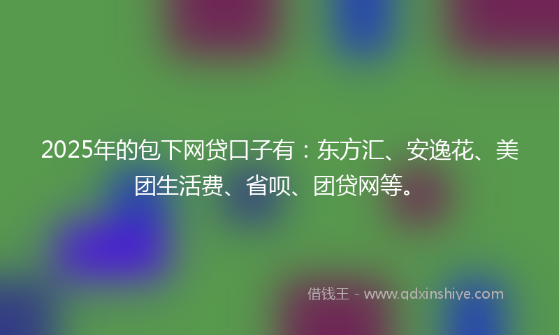 2025年的包下网贷口子有：东方汇、安逸花、美团生活费、省呗、团贷网等。