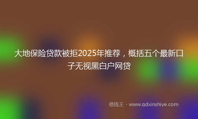 大地保险贷款被拒2025年推荐，概括五个最新口子无视黑白户网贷