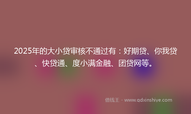 2025年的大小贷审核不通过有：好期贷、你我贷、快贷通、度小满金融、团贷网等。